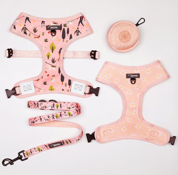 DogAccessories-DogPeople2_71840e92-56ae-4c5c-9f14-4d1c35ebc282.jpg