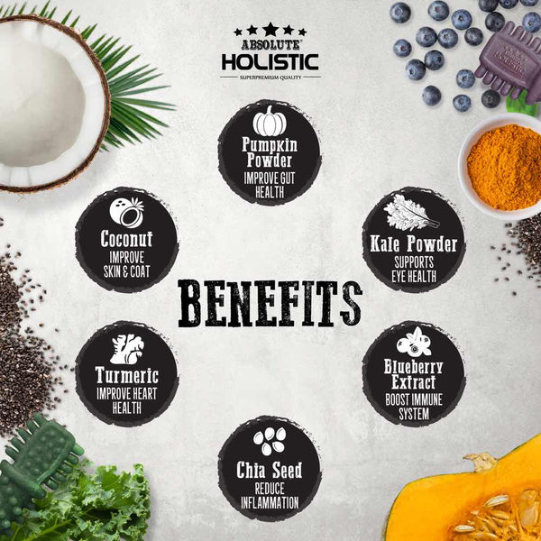 absolute-holistic-boost-grain-free-dental-dog-treat-benefits_840c4788-0083-4a4b-b103-f494987d7936.jpg