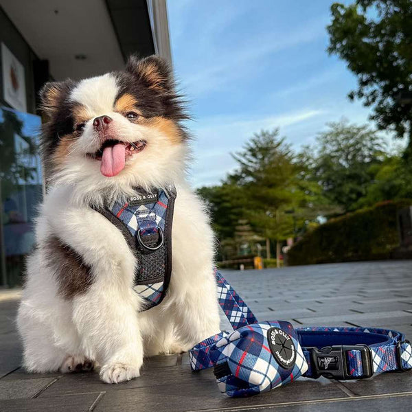 boss-olly-dog-poo-bag-holder-nautical-plaids3.jpg