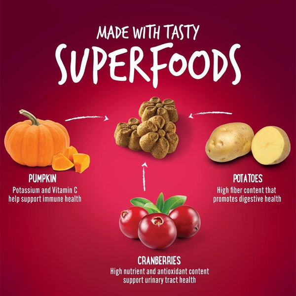 fruitablespumpkin_cranberry.jpg