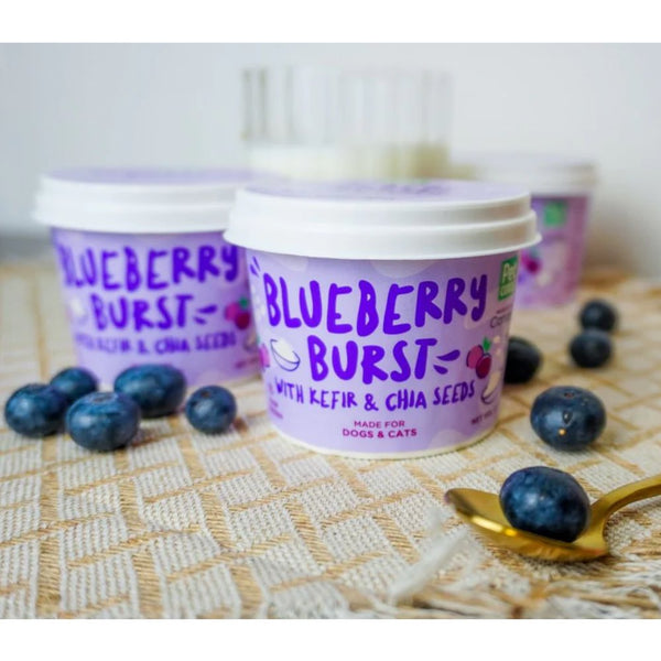 petcubes-blueberry-burst-ice-cream-2.jpg