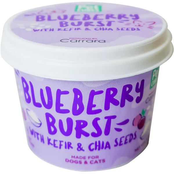 petcubes-blueberry-burst-ice-cream.jpg