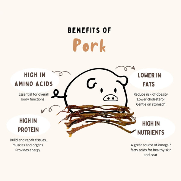 the-source-sage-club-pork-pizzle-grain-free-dog-chews-benefits.jpg