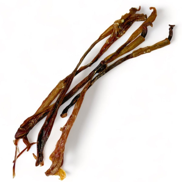 the-source-sage-club-pork-pizzle-grain-free-dog-chews.jpg